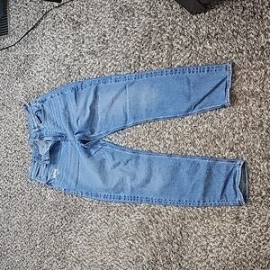 American Eagle Long Mom Jean